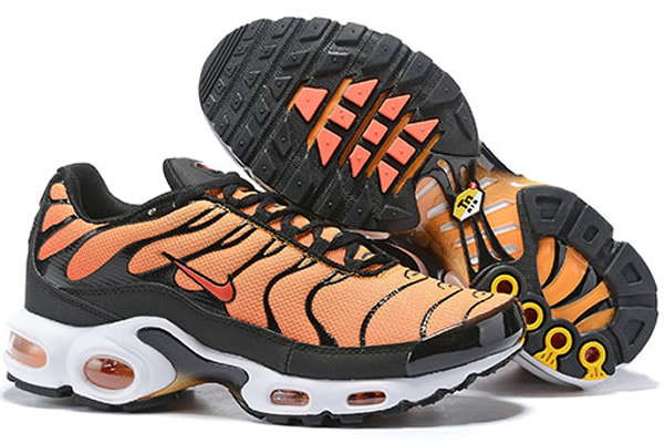 Nike Air Max TN 8909-B7